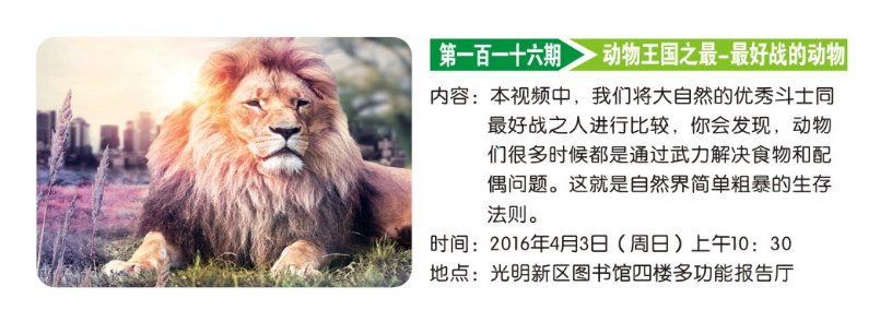 第116期：动物王国之最 最好战的动物