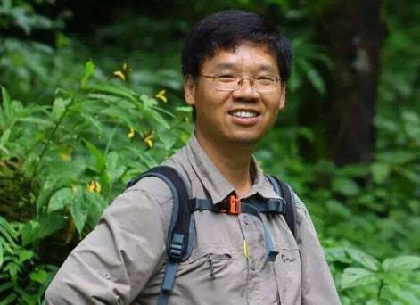 植物王国里的小矮人